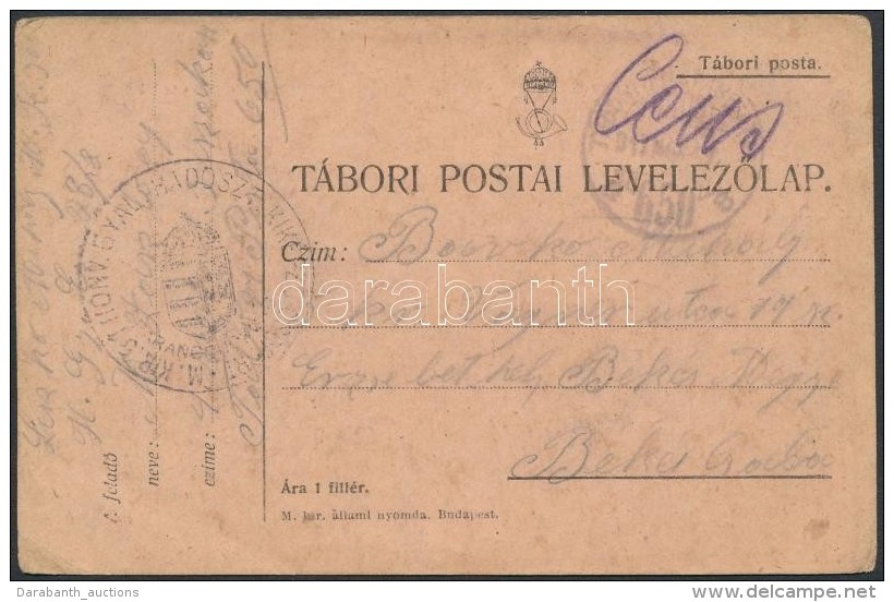 1917 T&aacute;bori Posta LevelezÅ‘lap 'M.KIR. 51 HONV. GYAL. HADOSZT. KIK&Eacute;PZÅ' + 'TP 650 B' - Autres & Non Classés