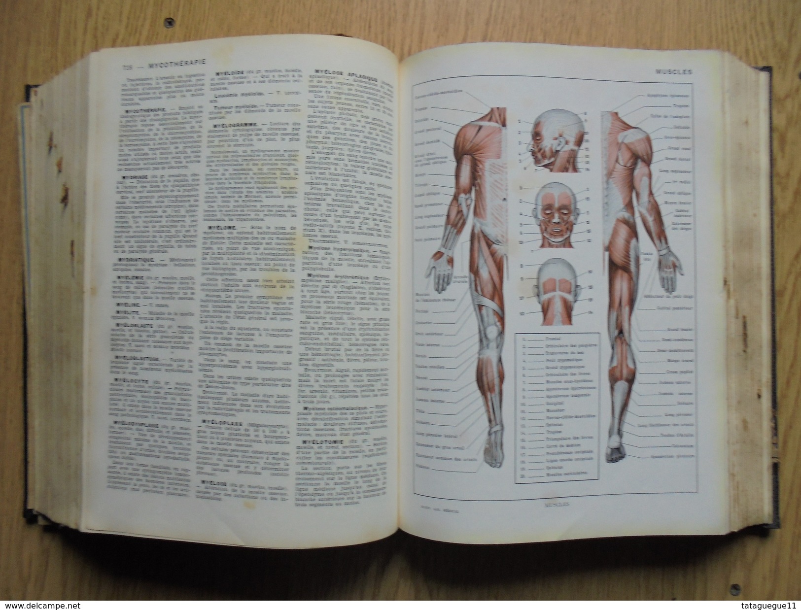 Ancien - Dictionnaire NOUVEAU LAROUSSE MEDICAL 1952 - Dictionnaires