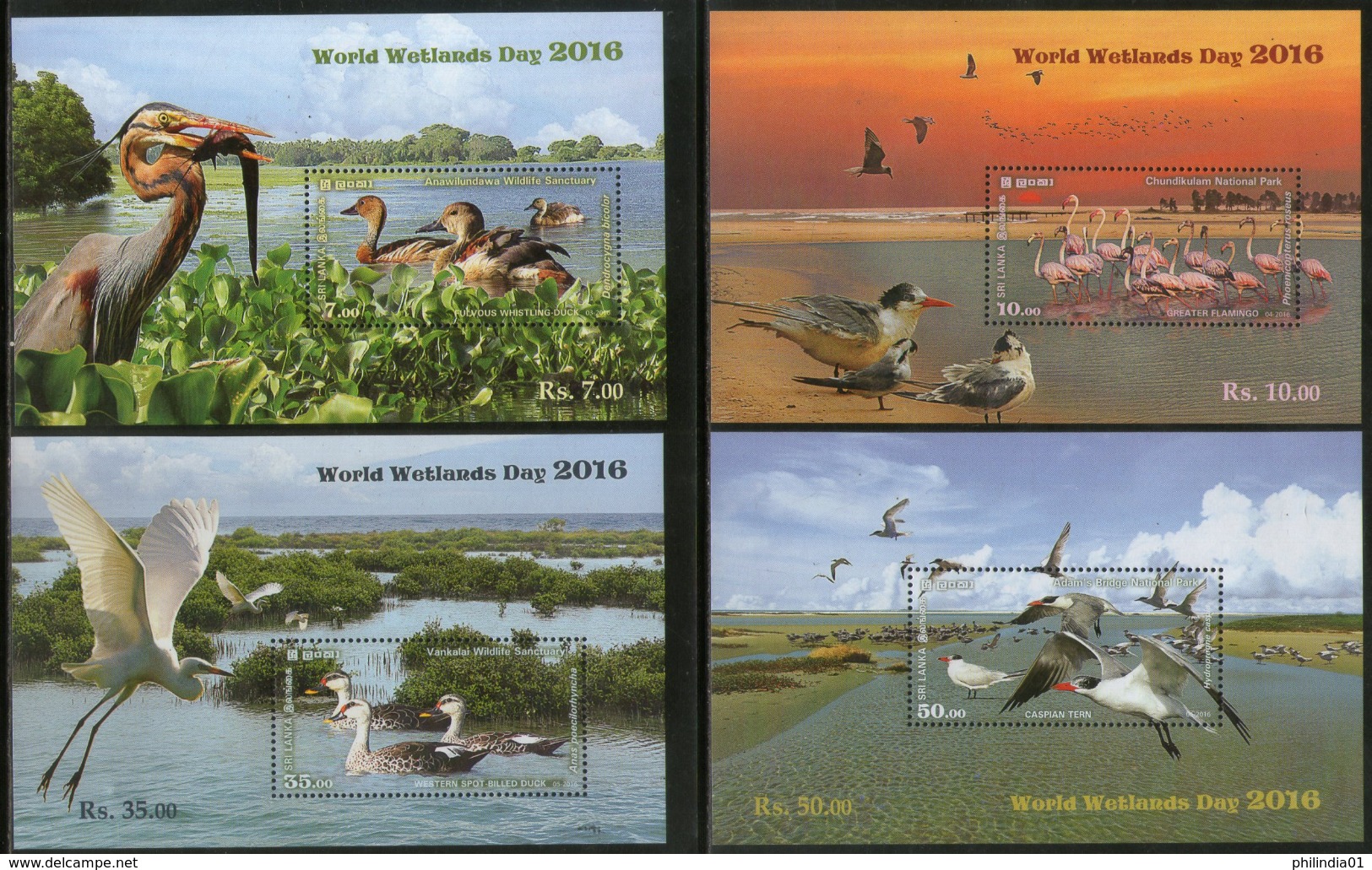 Sri Lanka 2016 World Wetlands Day Wildlife Sanctuary Adam's Bridge National Park Birds Duck 4 M/s MNH # 5251 - Ducks