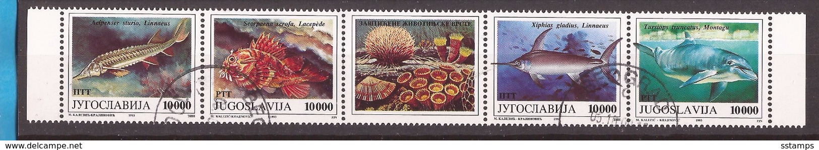 1993  2589-92   FAUNA WWF  MEERESTIERE FISCHE  GESCHUEZTE TIERE JUGOSLAVIJA JUGOSLAWIEN  Used - Used Stamps