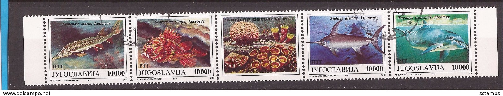 1993  2589-92   FAUNA WWF  MEERESTIERE FISCHE  GESCHUEZTE TIERE JUGOSLAVIJA JUGOSLAWIEN  Used - Used Stamps