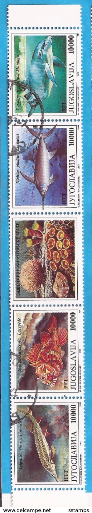 1993  2589-92   FAUNA WWF  MEERESTIERE FISCHE  GESCHUEZTE TIERE JUGOSLAVIJA JUGOSLAWIEN  Used - Used Stamps