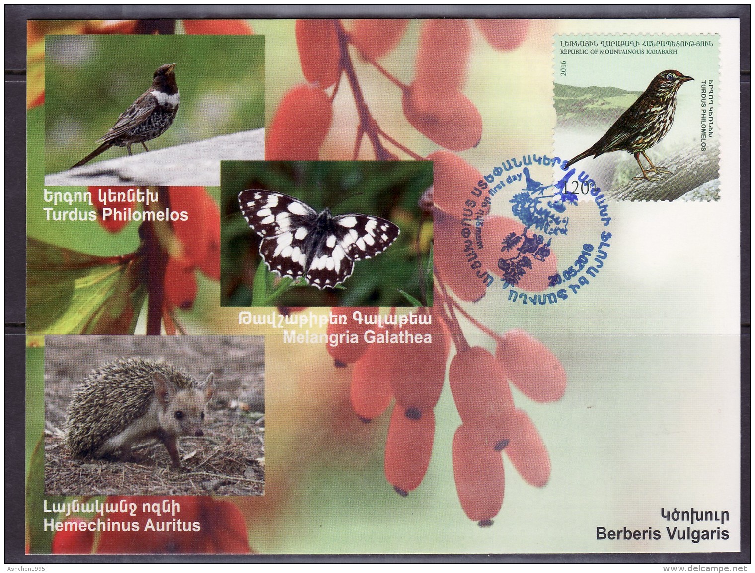 Armenia Karabakh 2016, Flora And Fauna  Of Artsakh, Songbird - Card Maximum - Arménie