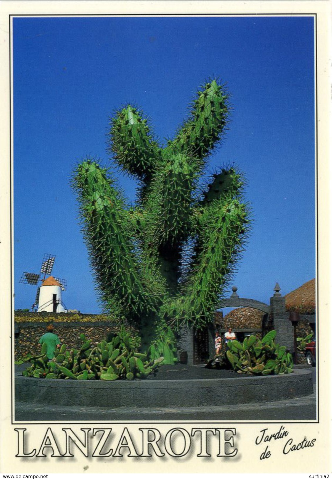 CACTUS - LANZAROTE - JARDIN DE CACTUS Cac16 - Cactusses