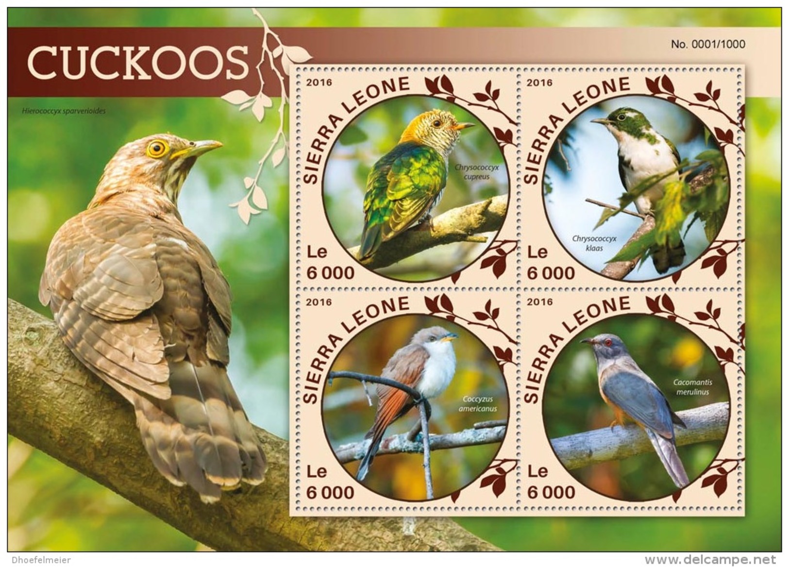 SIERRA LEONE 2016 ** Cuckoos Kuckucke Coucous M/S - OFFICIAL ISSUE - A1613 - Coucous, Touracos