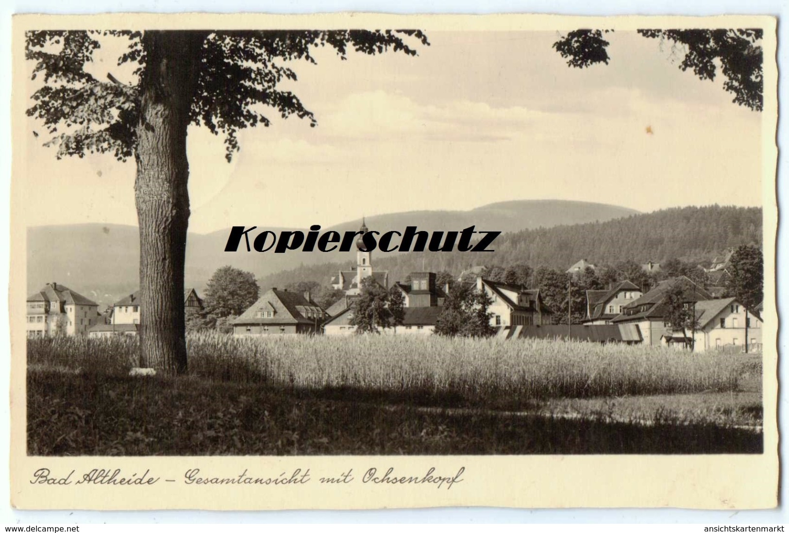 Bad Altheide Gesamtansicht Vom Ochsenkopf, Alte Foto Ak Ansichtskarte 1940 - Polen