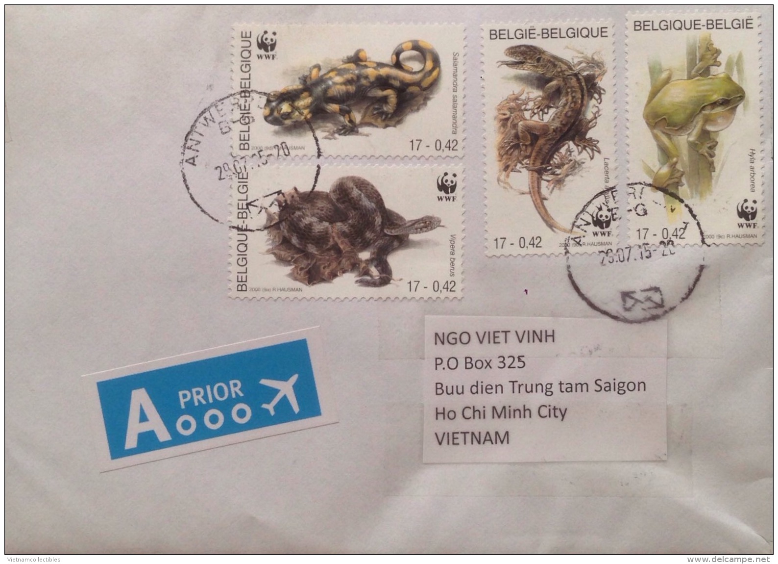 Belgium Cover With Full Set Of WWF Reptile Stamps - Covers & Documents