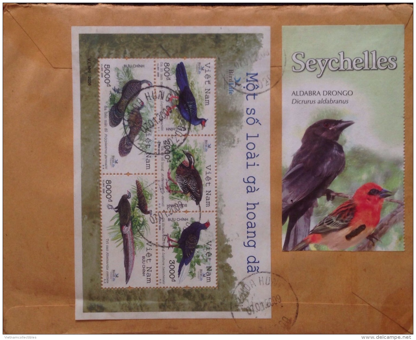 Vietnam Viet Nam Registered Cover With A Souvenir Sheet Of BIRD And Full Set Of WWF Civet Stamps / 02 Images - Lettres & Documents