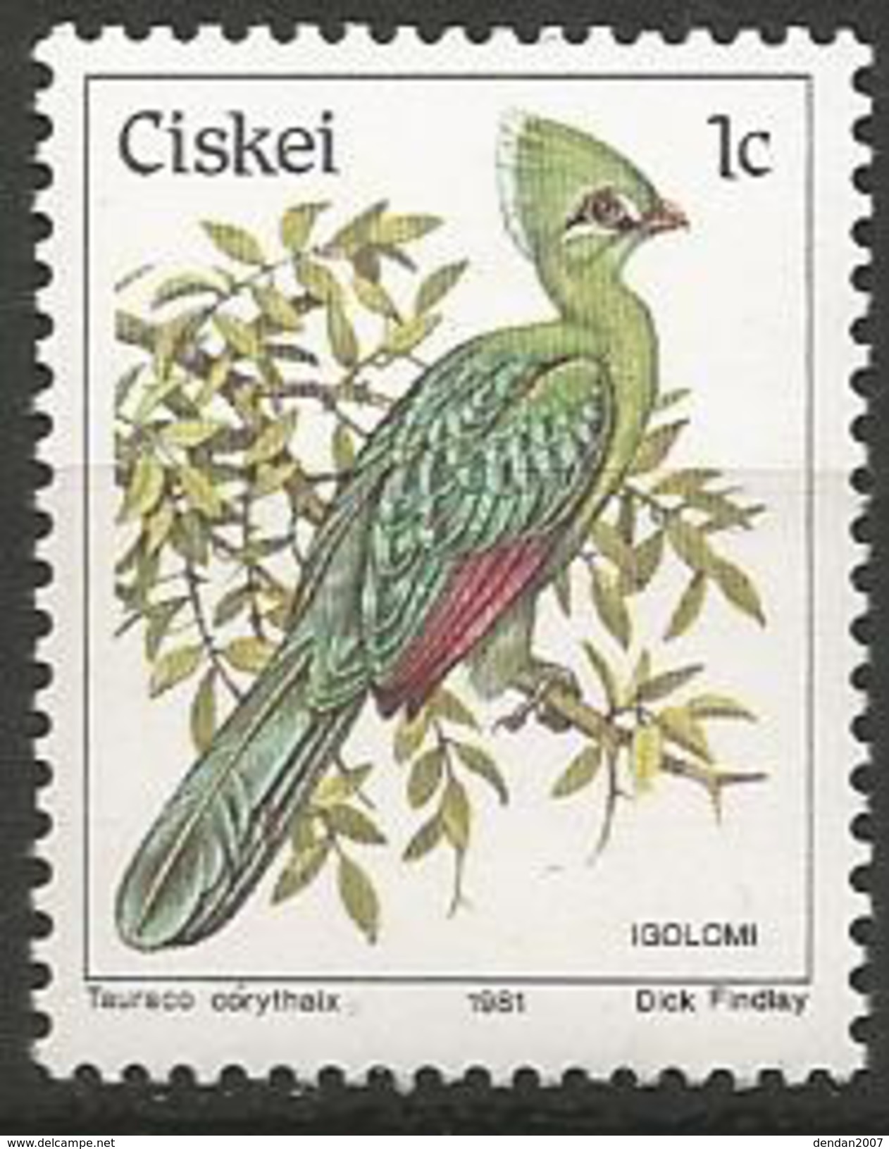 Ciskei (South Africa) - MNH - Knysna Turaco (Tauraco Corythaix) - Cuckoos & Turacos