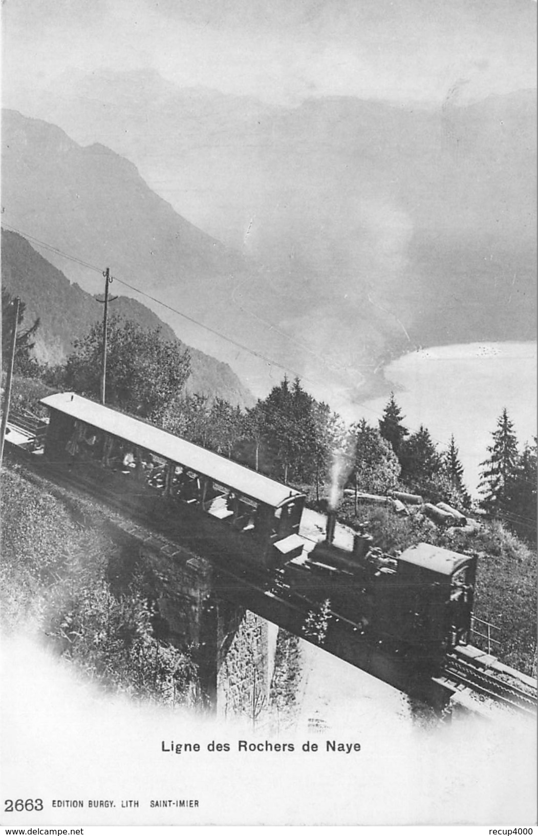 SUISSE  Ligne Des Rochers De Naye   Train   2 Scans - Roche