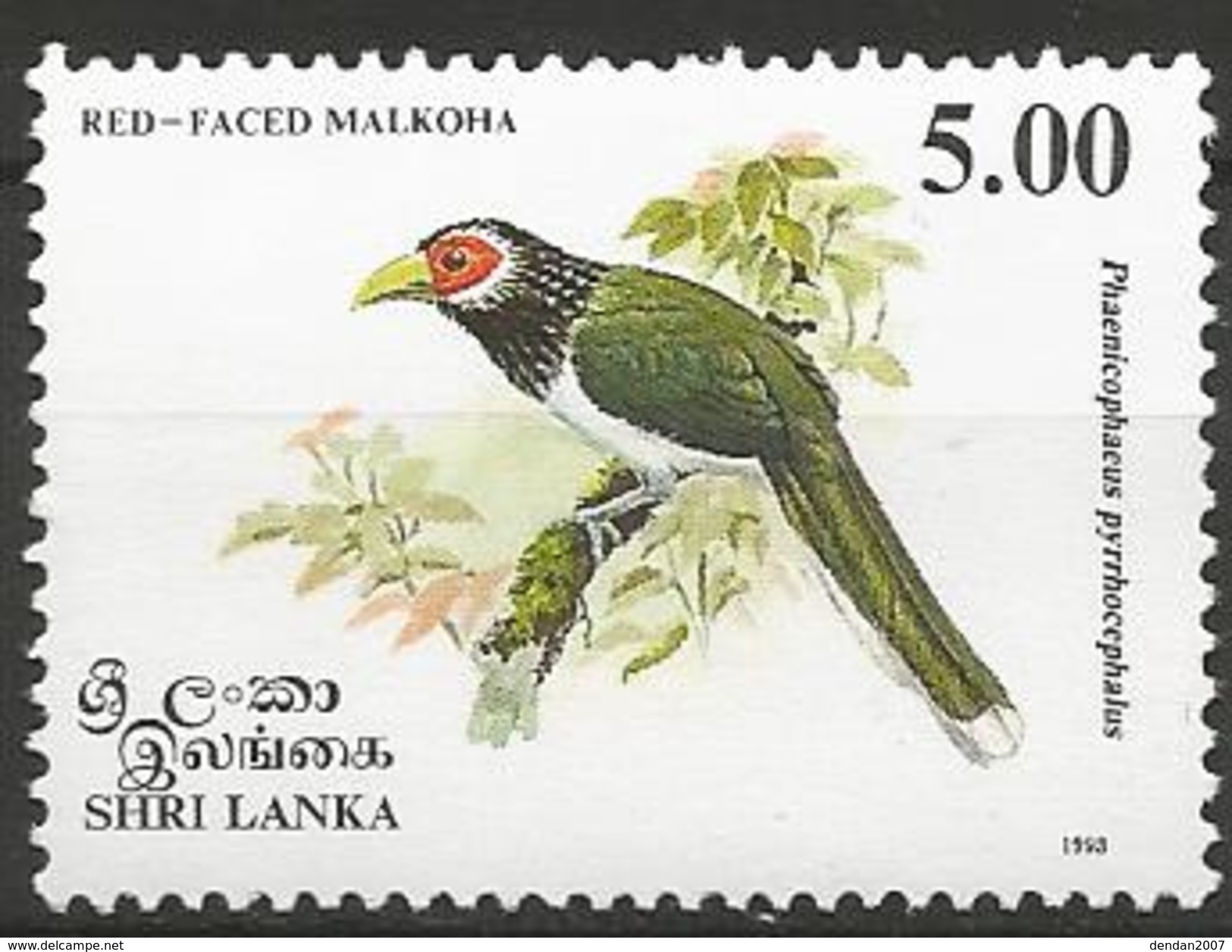 Sri Lanka - MNH - Blue-faced Malkoha ( Phaenicophaeus Viridirostris ) - Koekoeken En Toerako's