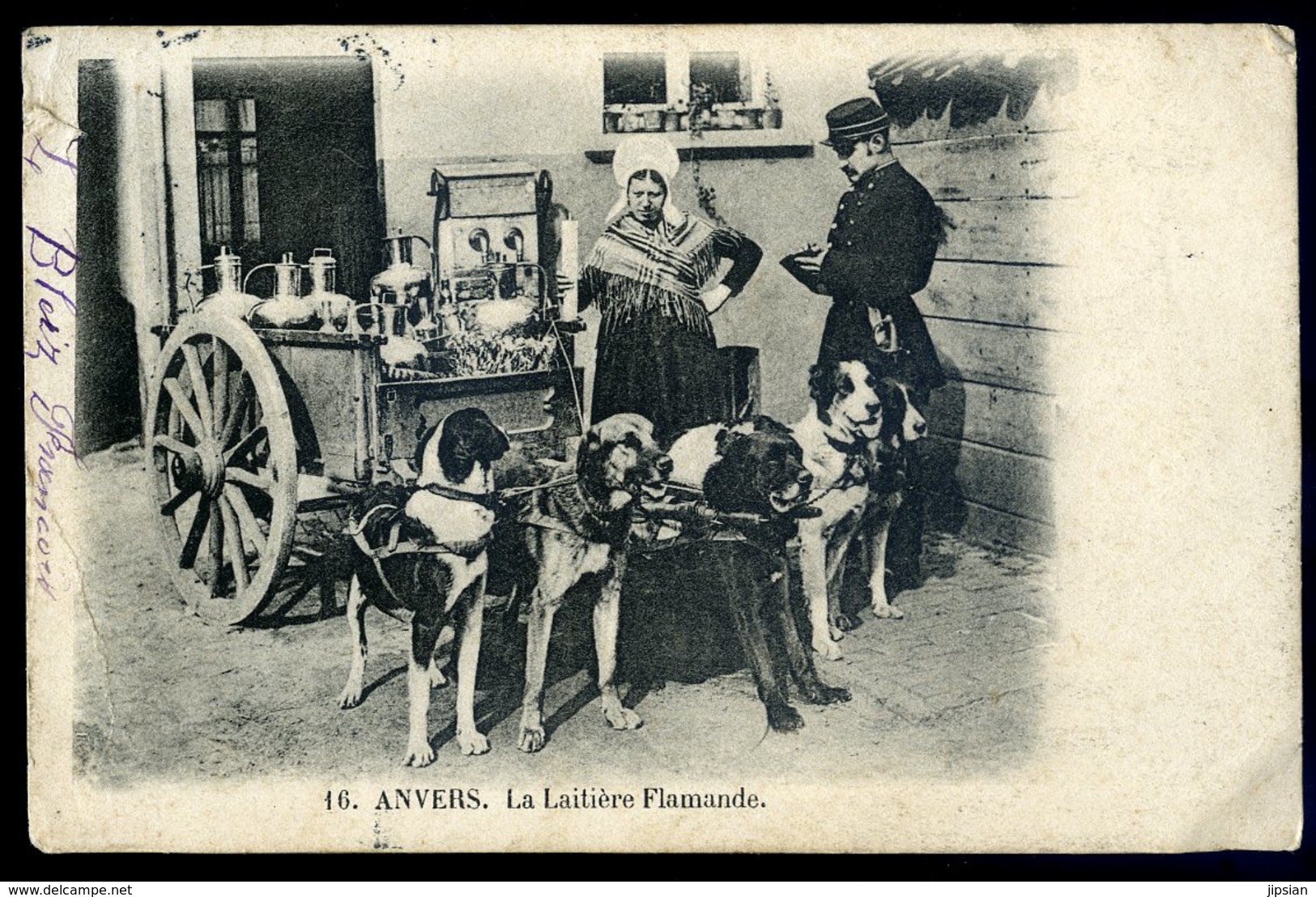 Cpa Belgique Anvers La Laitière Flamande Attelage De Chiens     YPO8 - Antwerpen