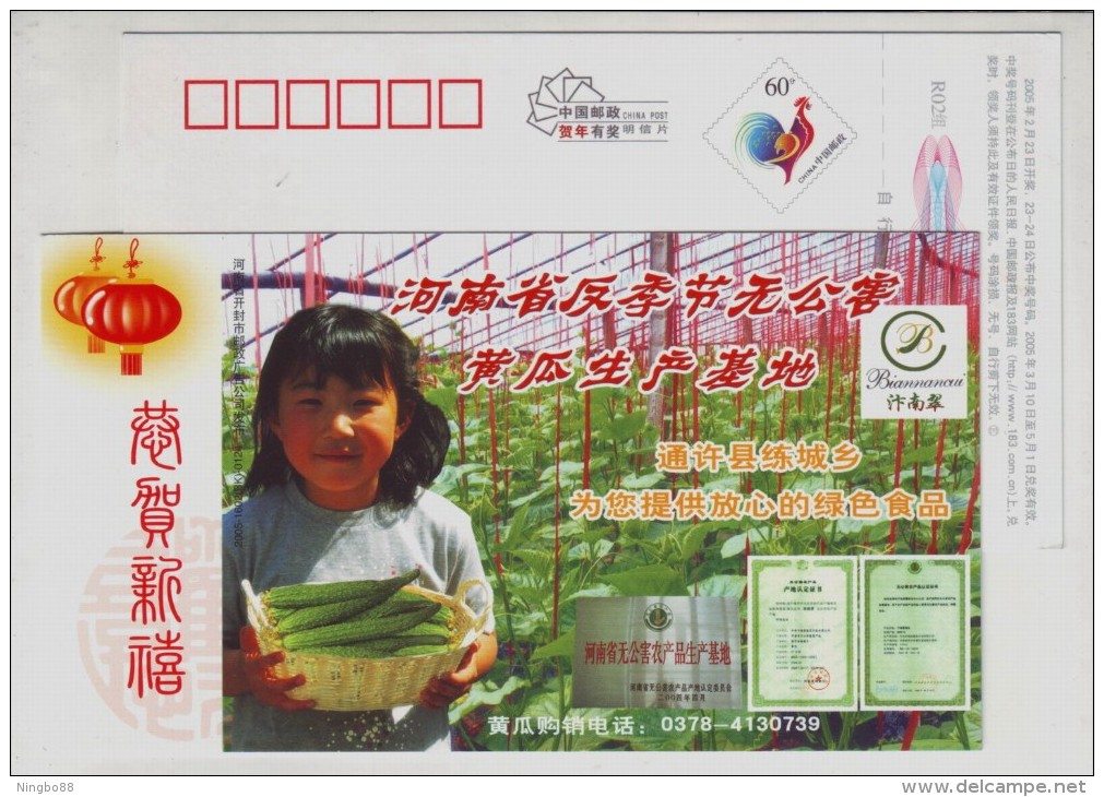 Vegetable Cucumber,CN 05 Henan Off-season Vegetable & Pollution-free Vegetable Planting Base Advert Pre-stamped Card - Vegetazione