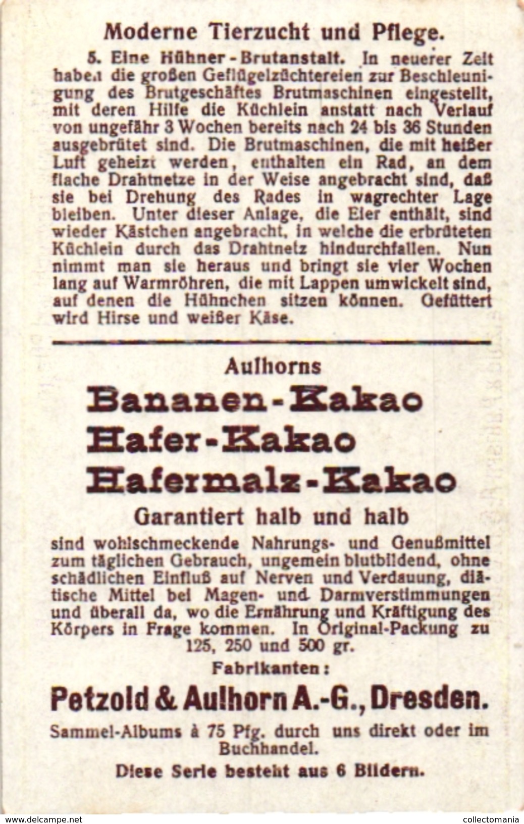 6 Cards Chocolade Edda c1900 Animal Chicken Incubator Zoo Afrika Antilopen Aligator  DRESDEN Petz Aulhorn KAPLAND cape