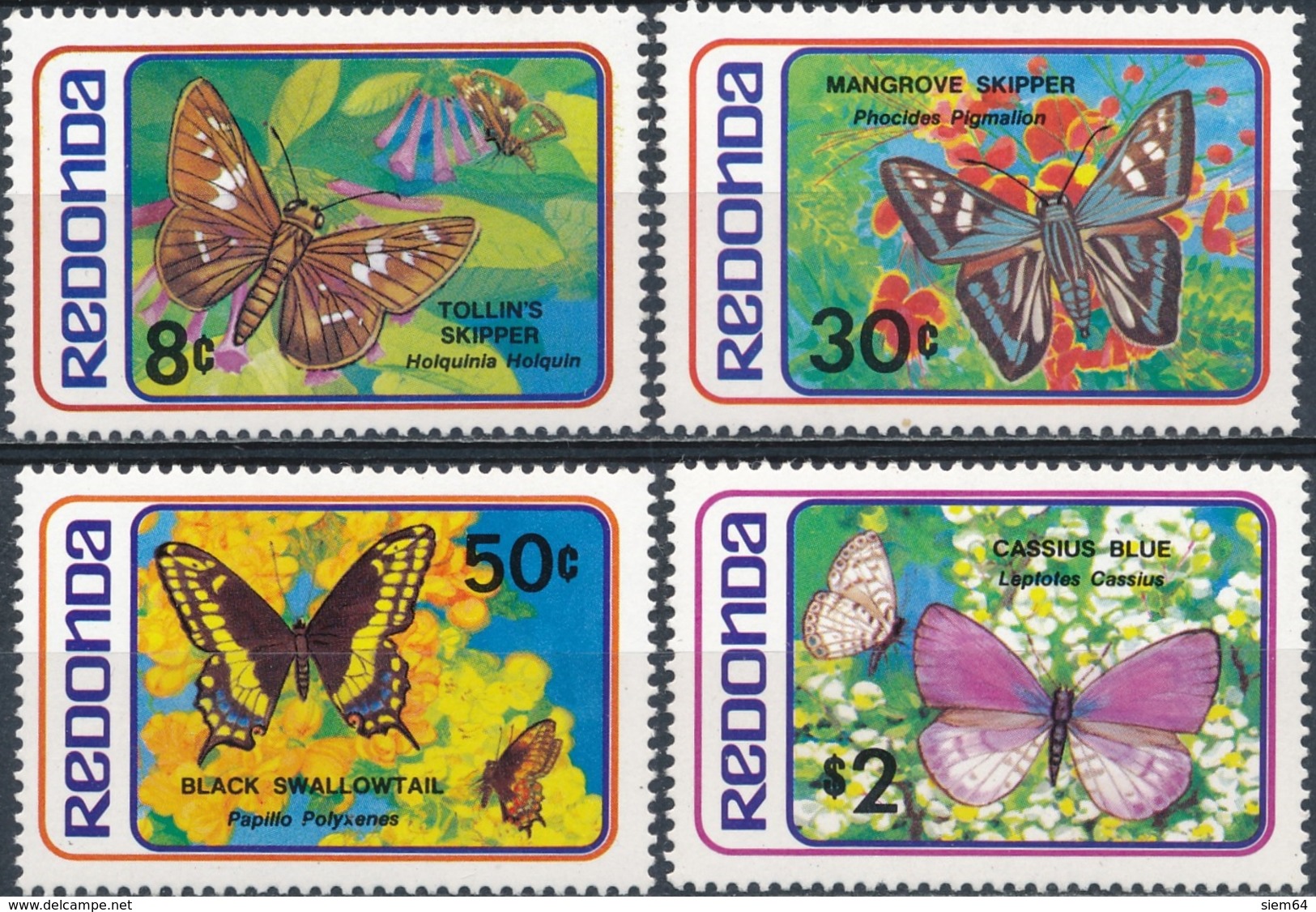 Redonda  Butterflies - Butterflies