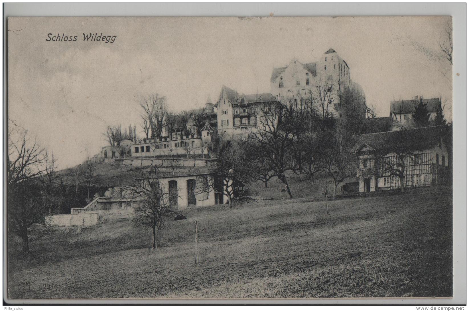 Schloss Wildegg - Wildegg