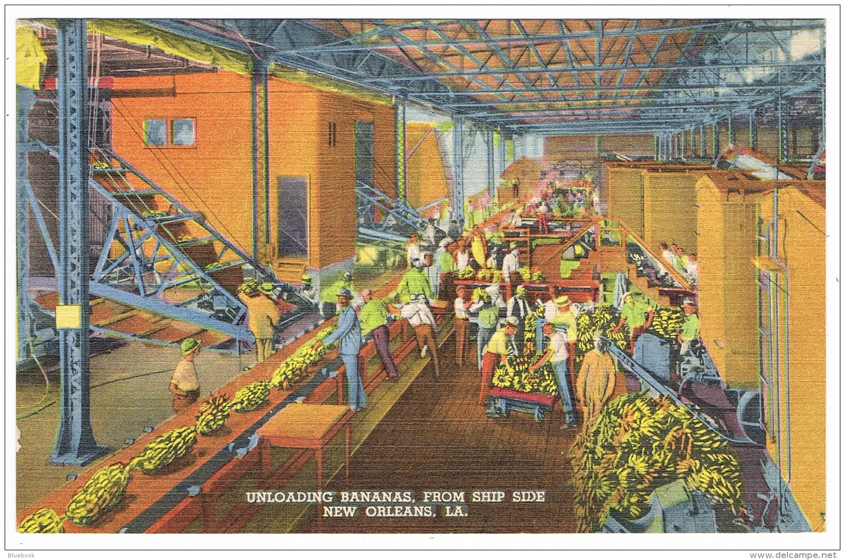 RB 1135 - Early USA Postcard - Unloading Bananas From Ship Side New Orleans Louisiana - Food Theme - New Orleans
