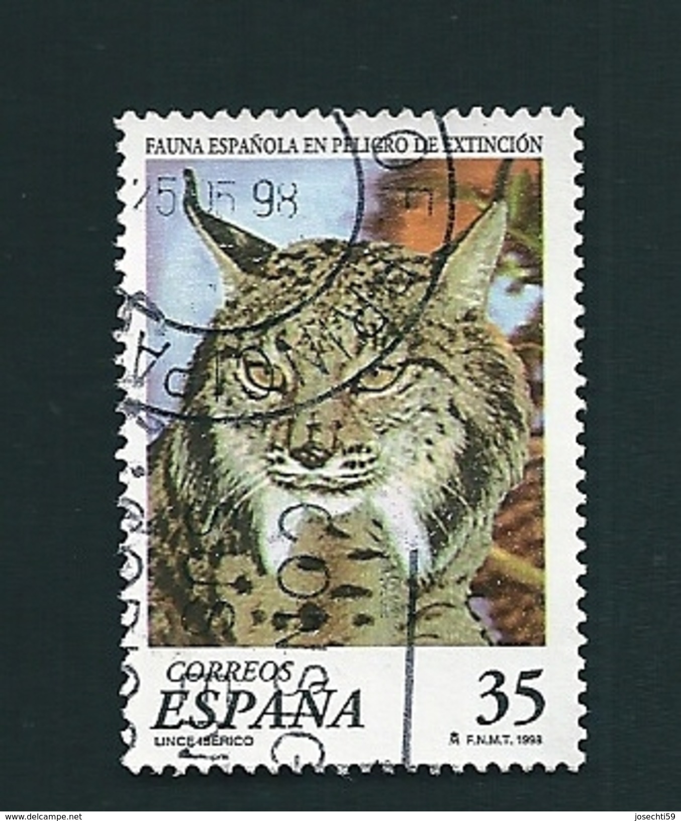 N° 3103 Lynx Pardelle    Espagne   Oblitéré 1998 - Used Stamps