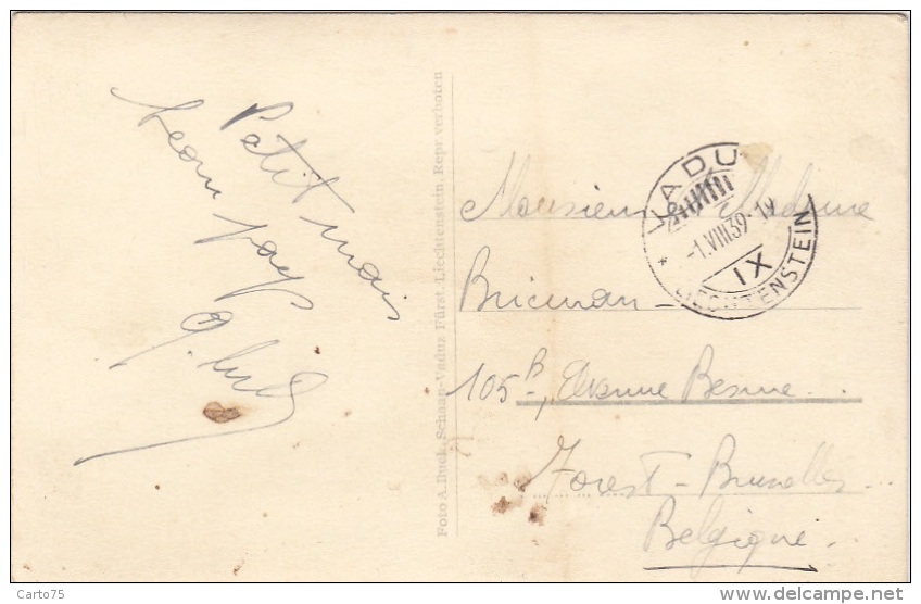 Liechtenstein - Militaria - Fusil Baïonnette - Postmarked Vaduz 1939 - Liechtenstein