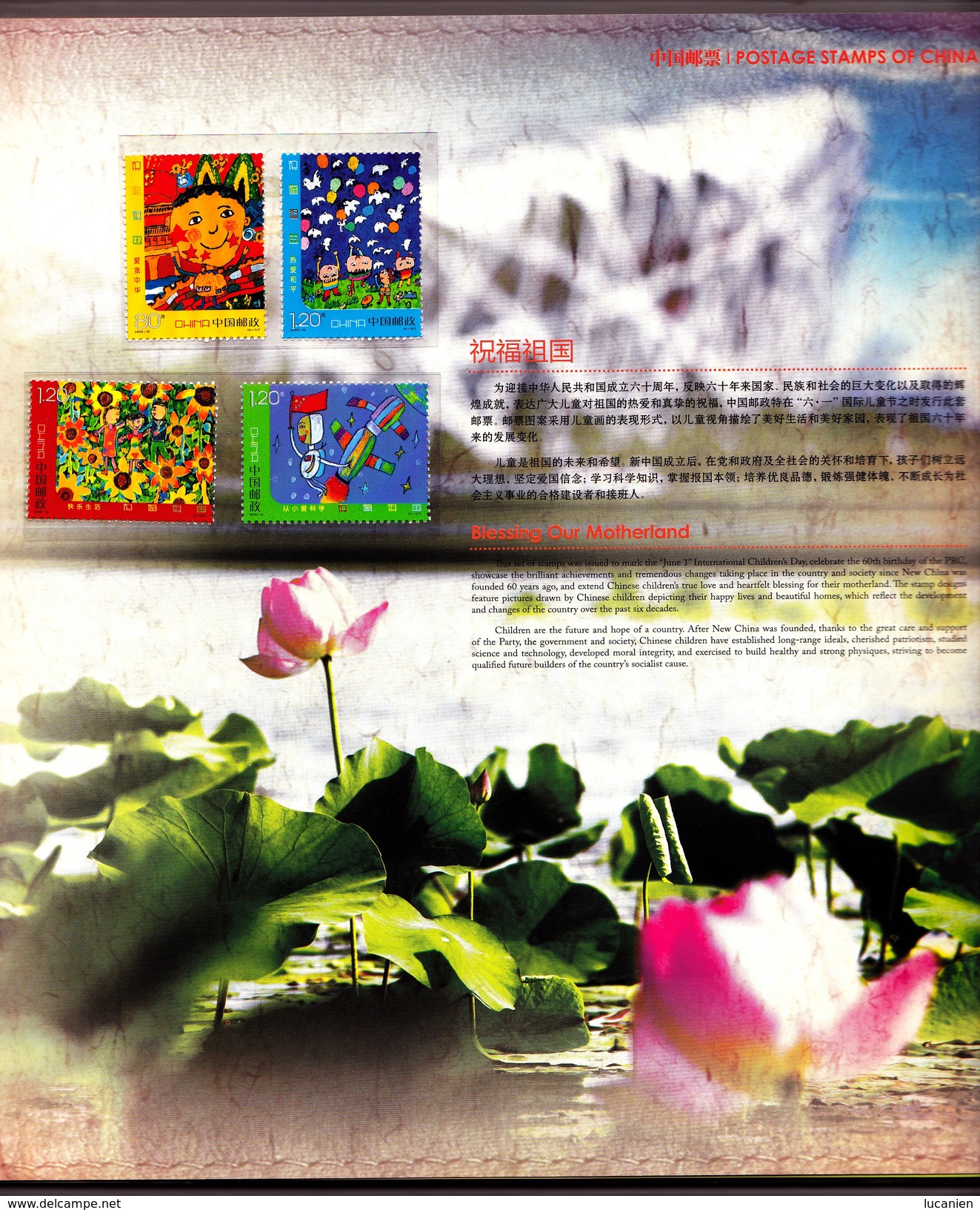 CHINE Année Complète 2009 ** 53 Photos  SUPERBE Album ILLUSTRE - Voir les 53 Pages