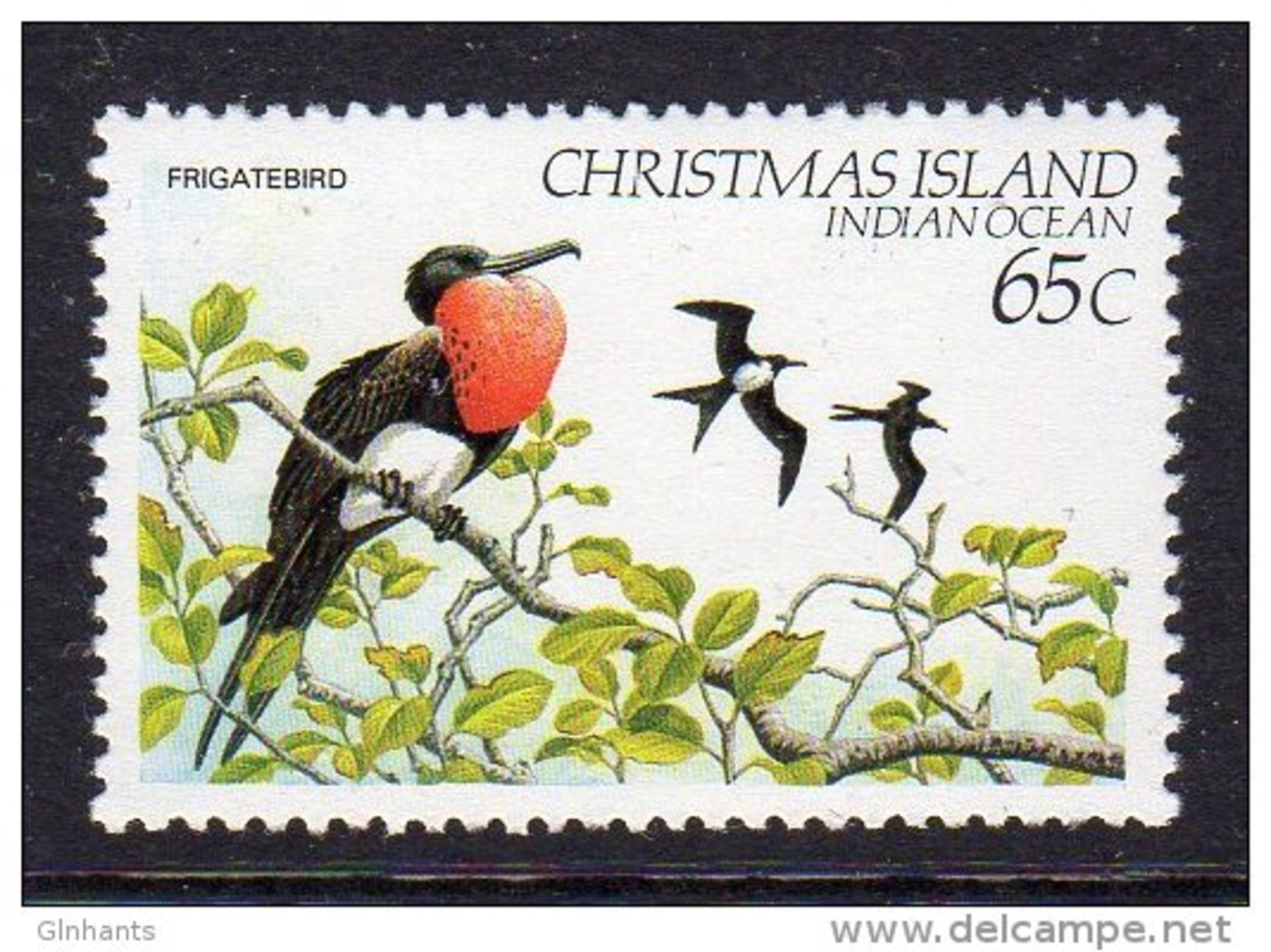 CHRISTMAS ISLAND - 1982 65c FRIGATE BIRD FINE MNH ** SG162 - Christmas Island