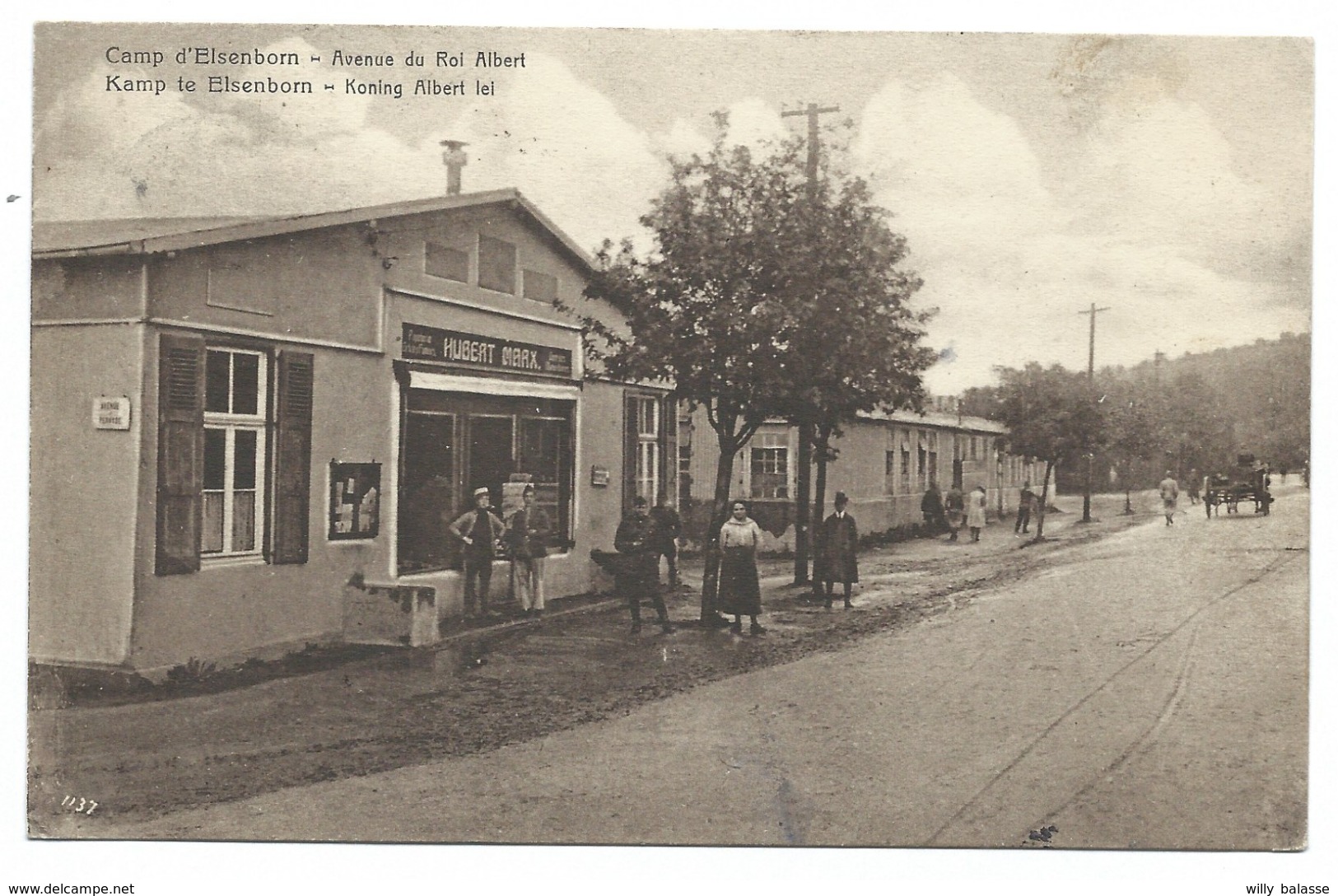 +++ CPA - Camp D' ELSENBORN - Avenue Du Roi Albert - Kamp - Koning Albert Lei  // - Bütgenbach