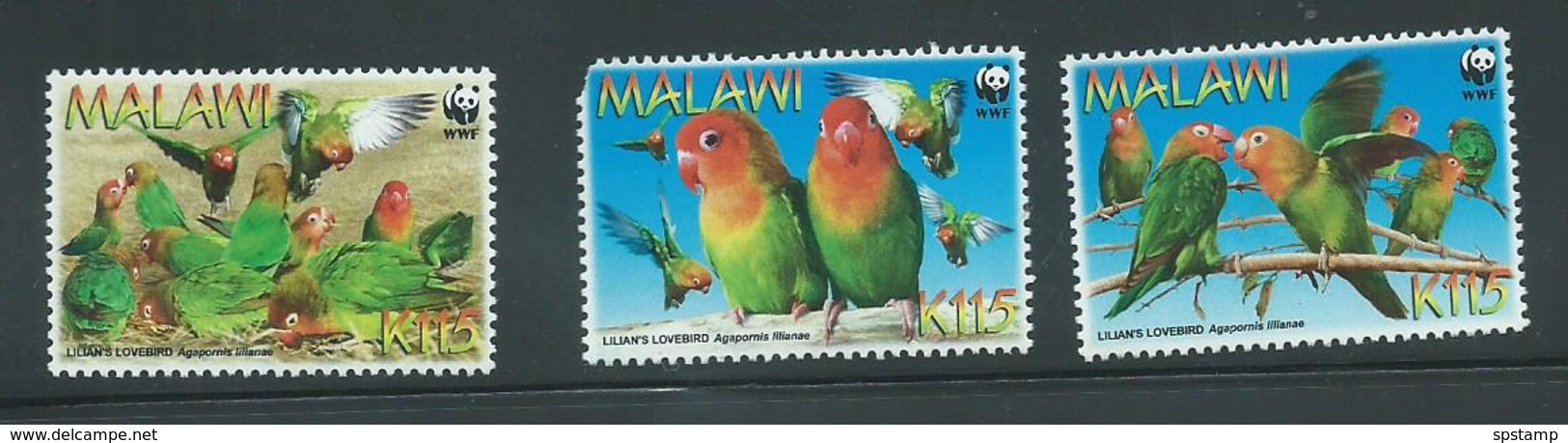 Malawi 2009 WWF Bird Lovebirds 3 Values MNH , 1 Damaged - Malawi (1964-...)