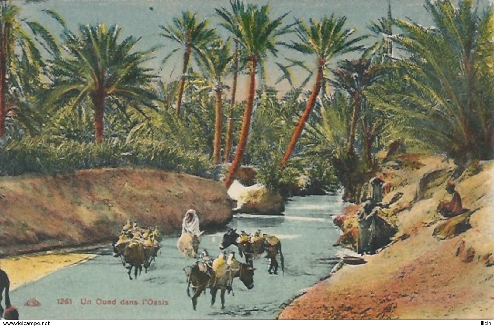 Postcard RA008700 - Algeria (Algérie / Algerien / Alzir) El Oued (Lwad) - El-Oued