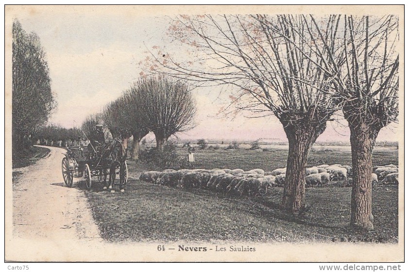 Nevers 58 - Moutons Attelage Les Saulaies - Nevers