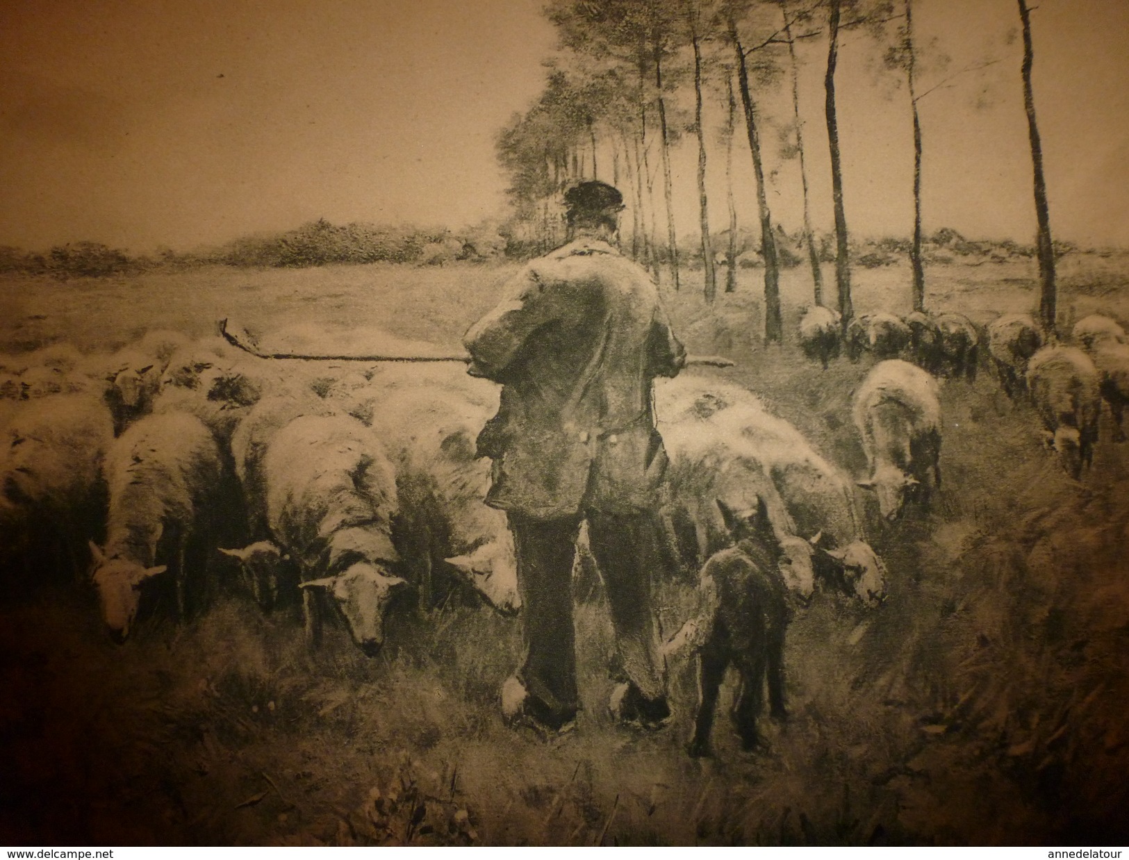 Années 1920-1930 Gravure Pastorale LE PRINTEMPS Représentant Un Berger Au Milieu De Ses Moutons Hors-tout 49 Cm X 34 Cm - Sonstige & Ohne Zuordnung