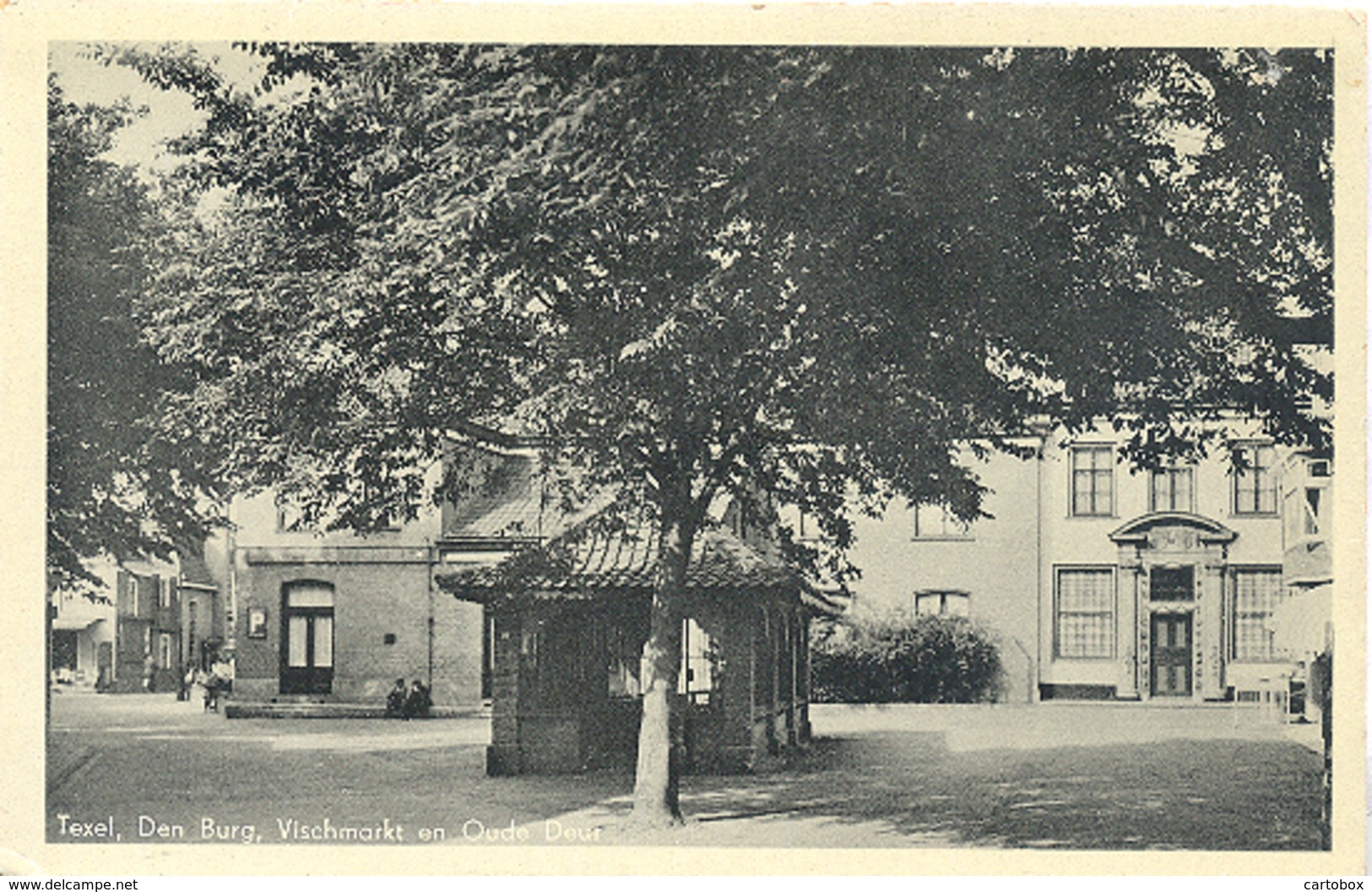 Texel, Den Burg, Vischmarkt En Oude Deur - Texel