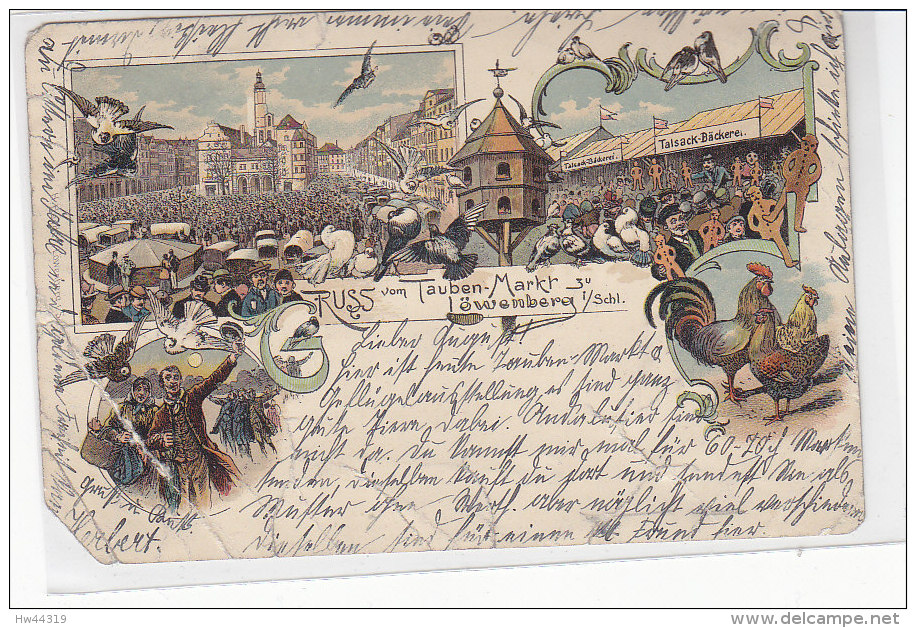 Gruss Vom Tauben-Markt Zu Löwenberg I.Schlesien - 1902 Litho 2.Wahl - Schlesien