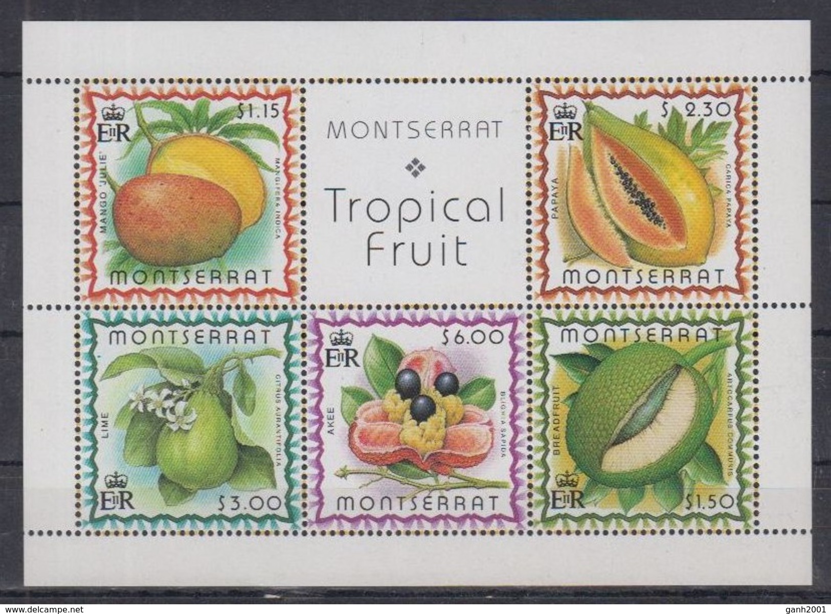 Montserrat 1999 / Tropical Fruits MNH Frutas Früchte / Cu1837  31 - Frutas