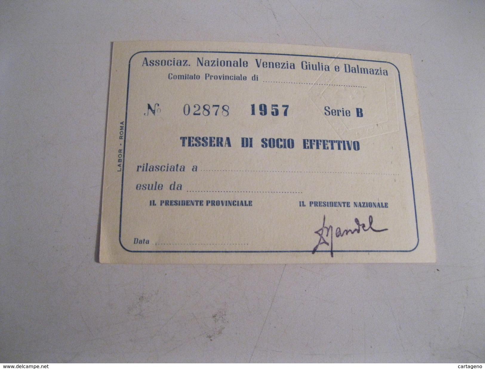 TESSERA Associazione Nazionale Venezia Giulia E Dalmazia 1957 - Partiti Politici & Elezioni