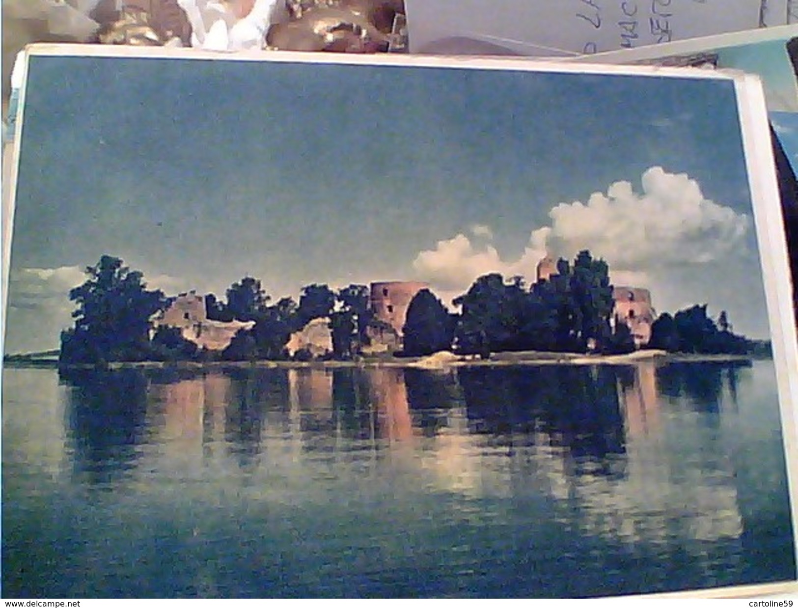 LITUANIA Lithuania Lietuva Trakai Traku Pilis CASTLE   N1955 FW9917 - Lituania