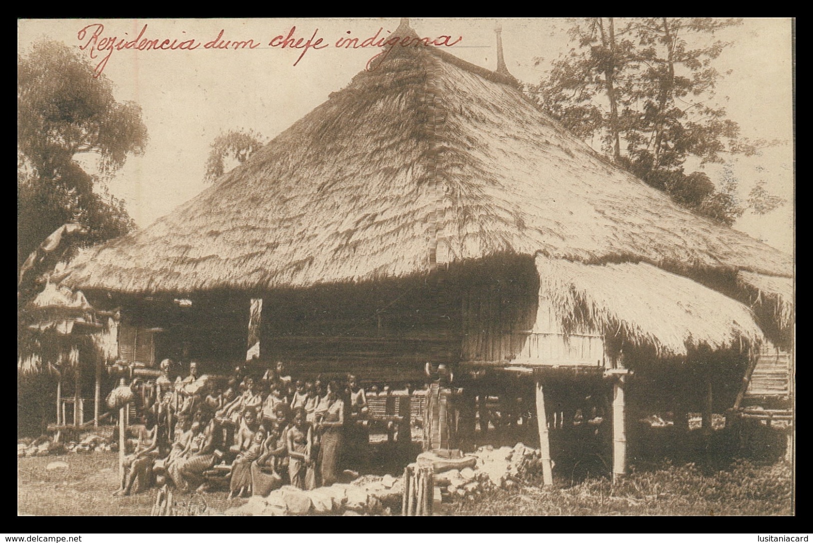 TIMOR - Residencia De Um Chefe Indigena ( Ed. Da Missão)    Carte Postale - East Timor