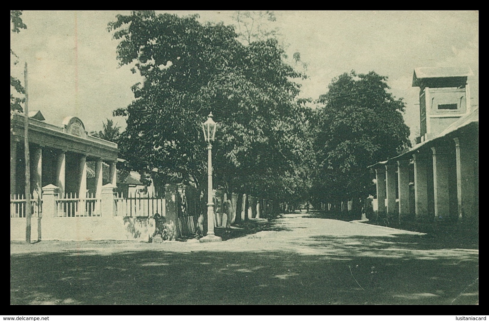 TIMOR - Rua José Maria Marques. ( Ed. Da Missão)   Carte Postale - Timor Oriental