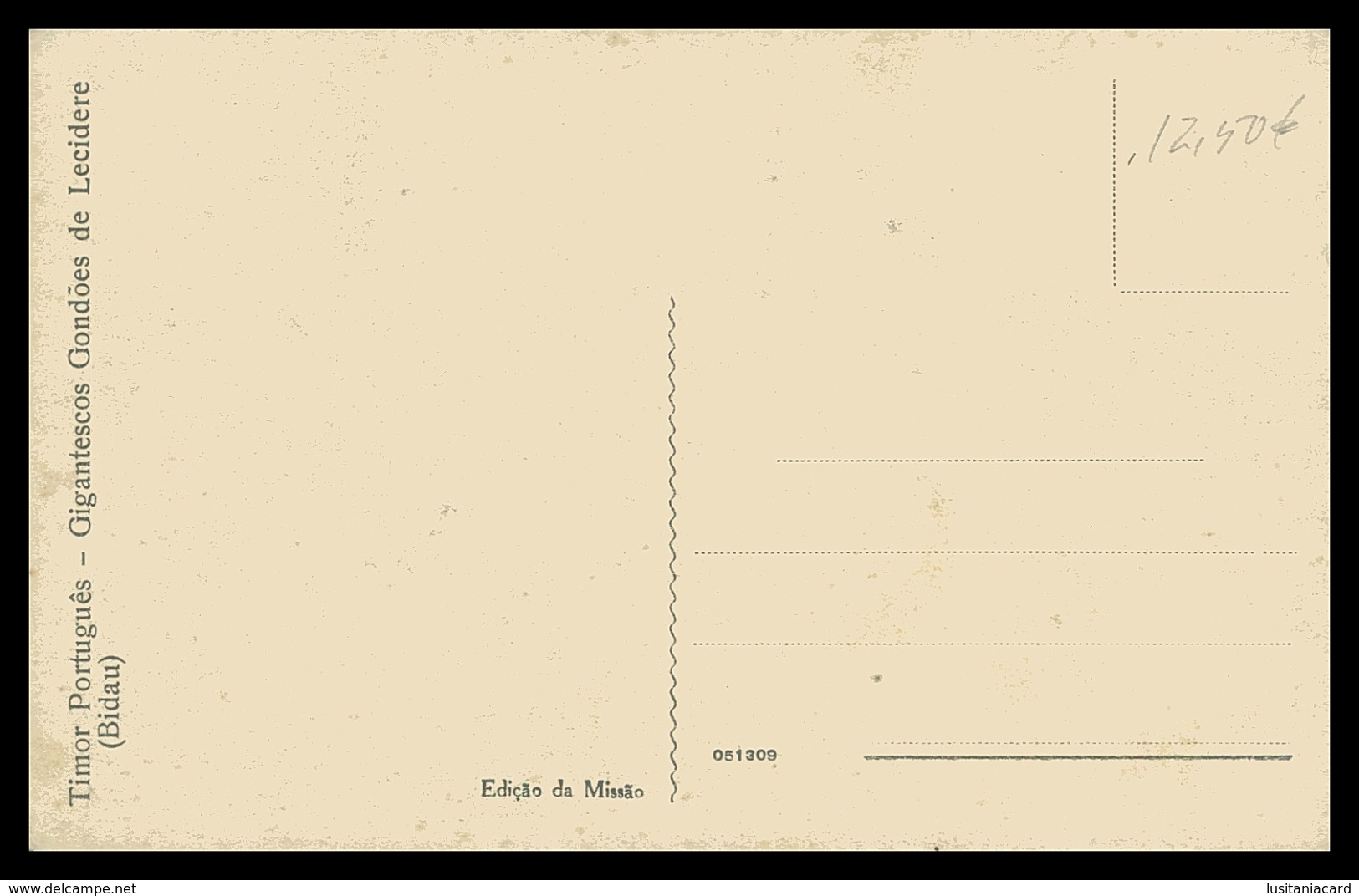 TIMOR -Gigantescos Gondões De Lecidere ( Bidau)( Ed. Da Missão)  Carte Postale - Oost-Timor