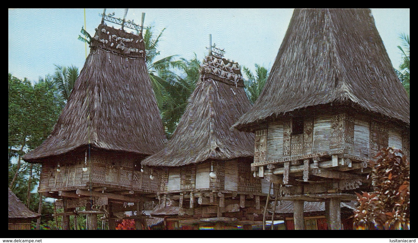 TIMOR - Casas Típicas Da Ponta Leste ( Loré) ( Ed. M. N. F. Nº 11)  Carte Postale - Timor Oriental