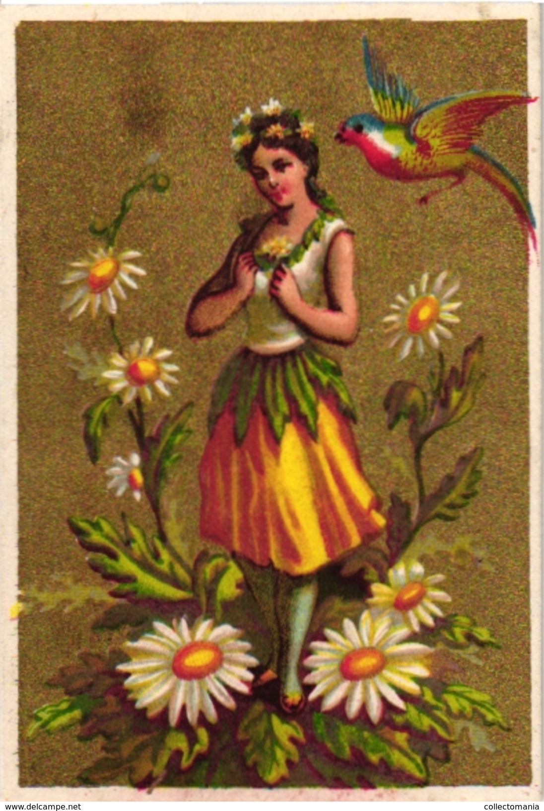 6 Cards C 1900  Flower Woman With Insects Beetle Papillions  Golden Background  Blanco Backs Litho - Autres & Non Classés