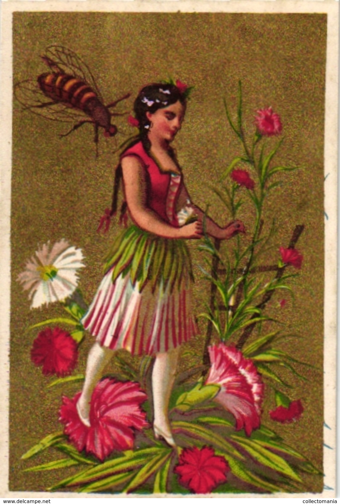 6 Cards C 1900  Flower Woman With Insects Beetle Papillions  Golden Background  Blanco Backs Litho - Autres & Non Classés