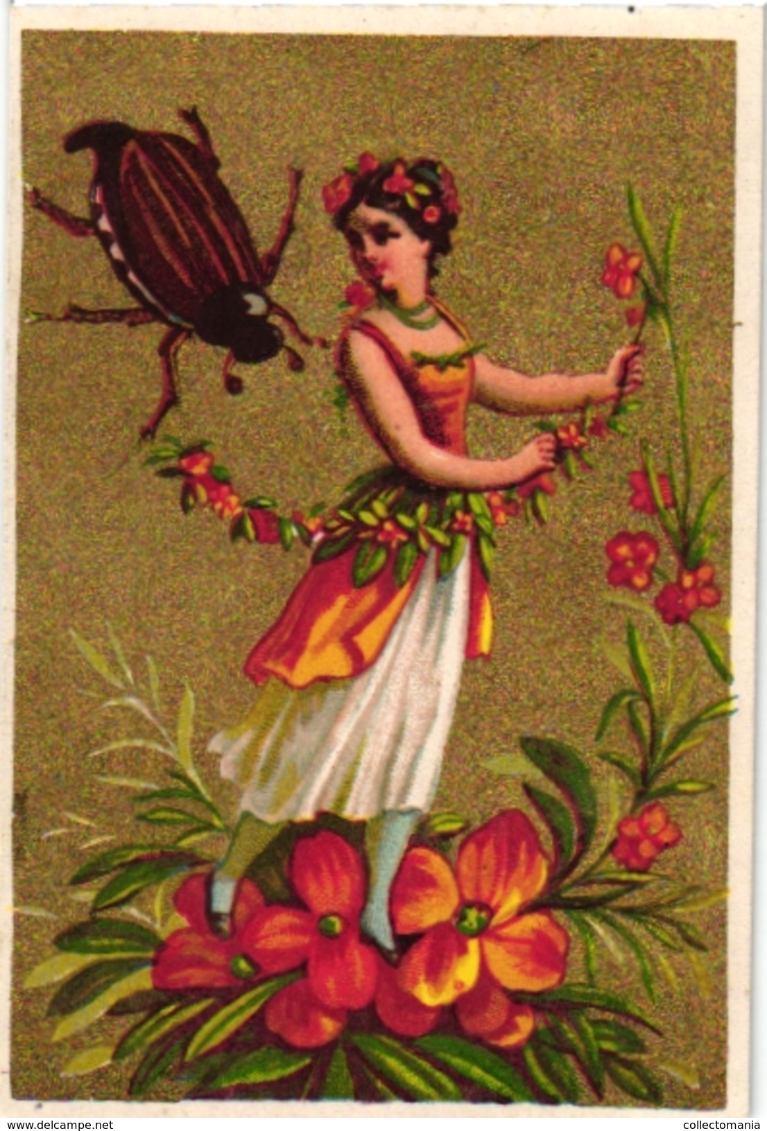 6 Cards C 1900  Flower Woman With Insects Beetle Papillions  Golden Background  Blanco Backs Litho - Autres & Non Classés