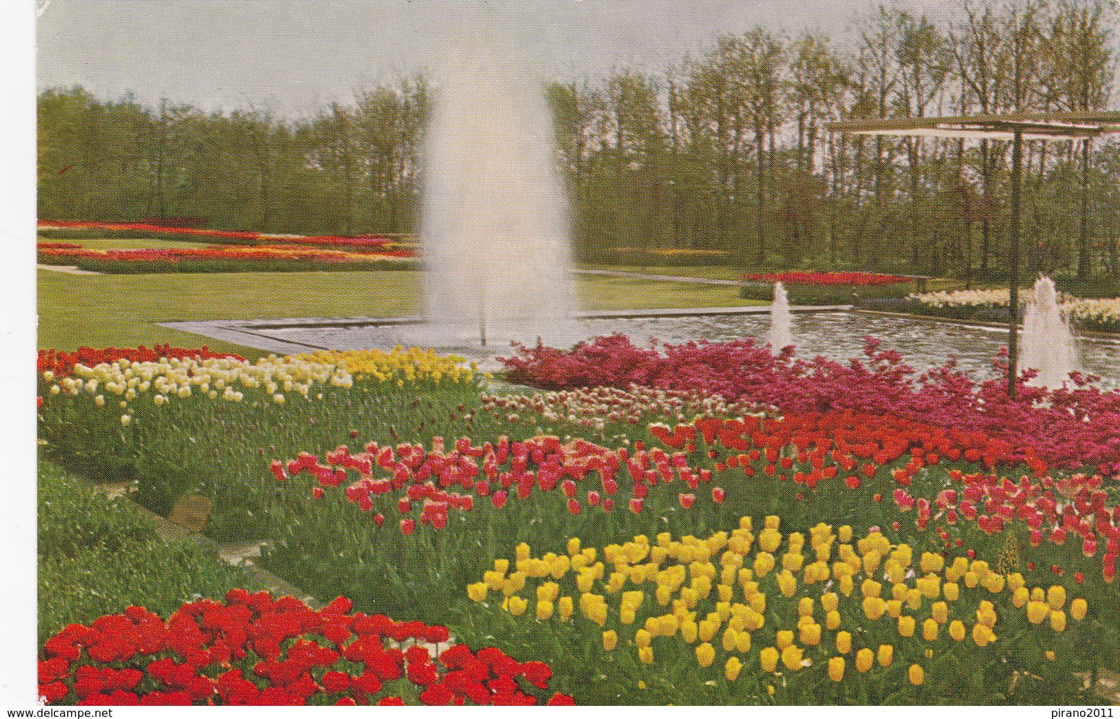 Keukenhof, Lisse - Lisse