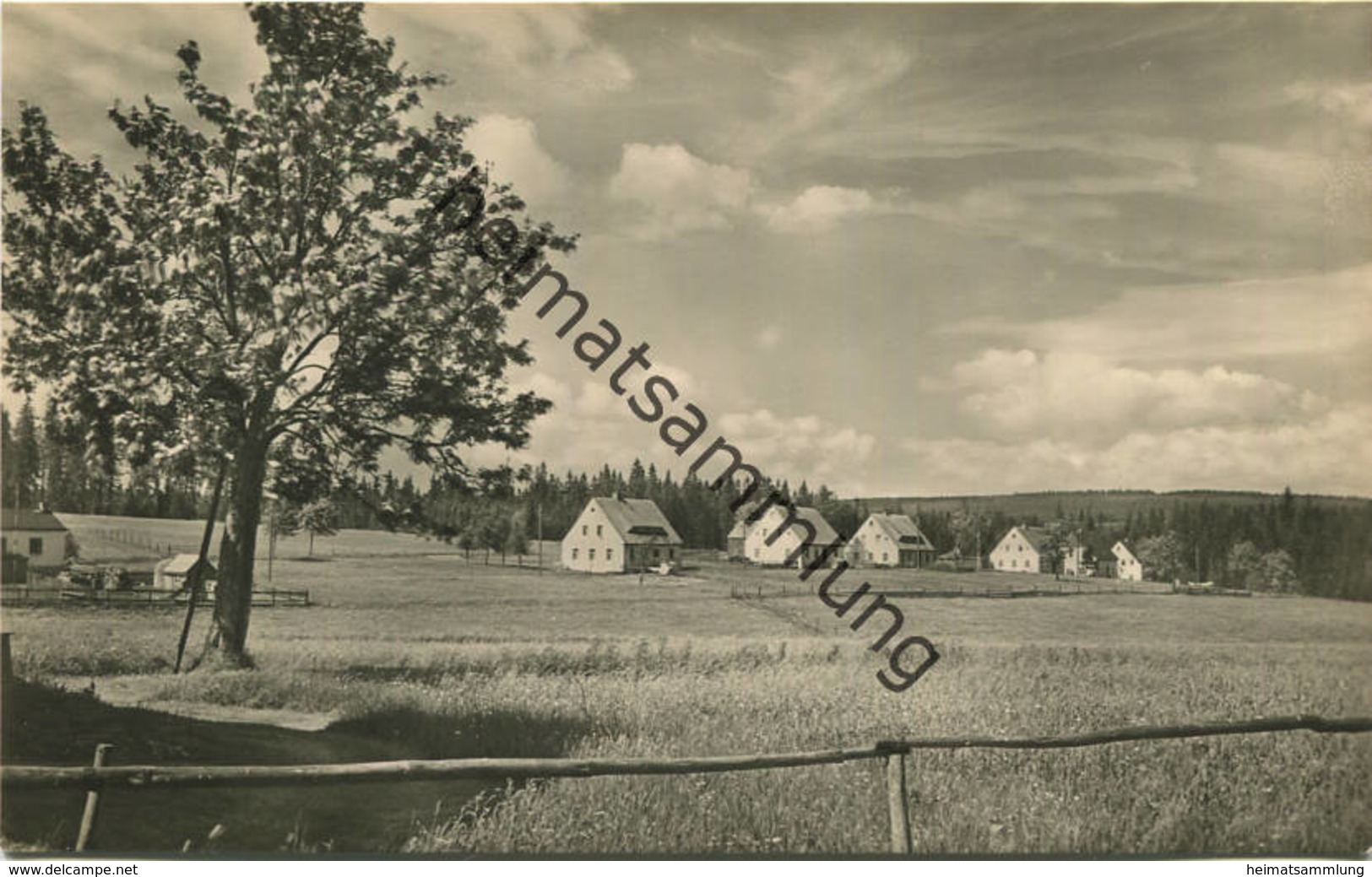 Kühnhaide - Ortsteil Neue Welt - Foto-AK 1959 - Verlag VEB Bild Und Heimat Reichenbach - Marienberg