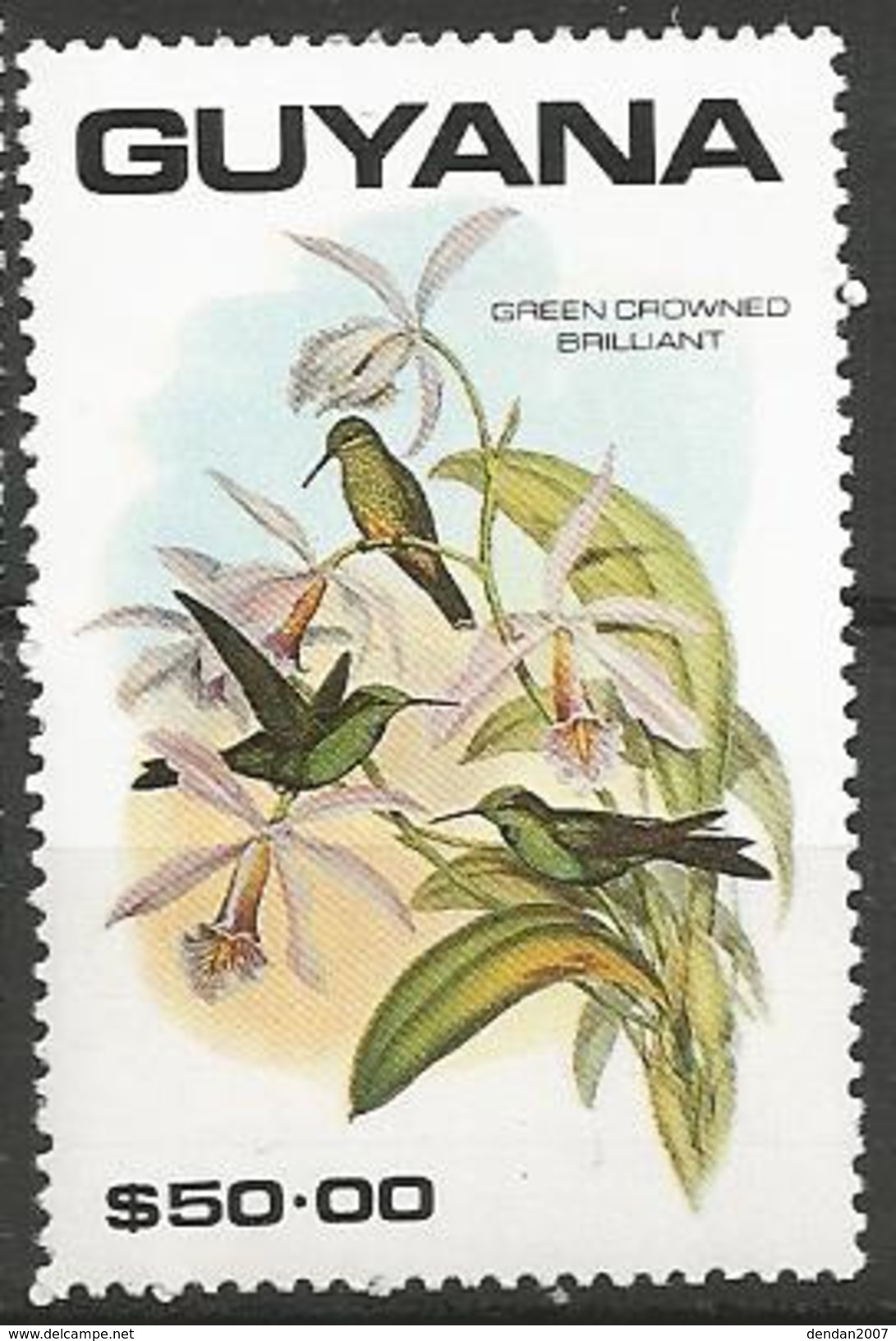 Guyana - MNH - Green-crowned Brilliant ( Heliodoxa Jaccula ) - Segler & Kolibris