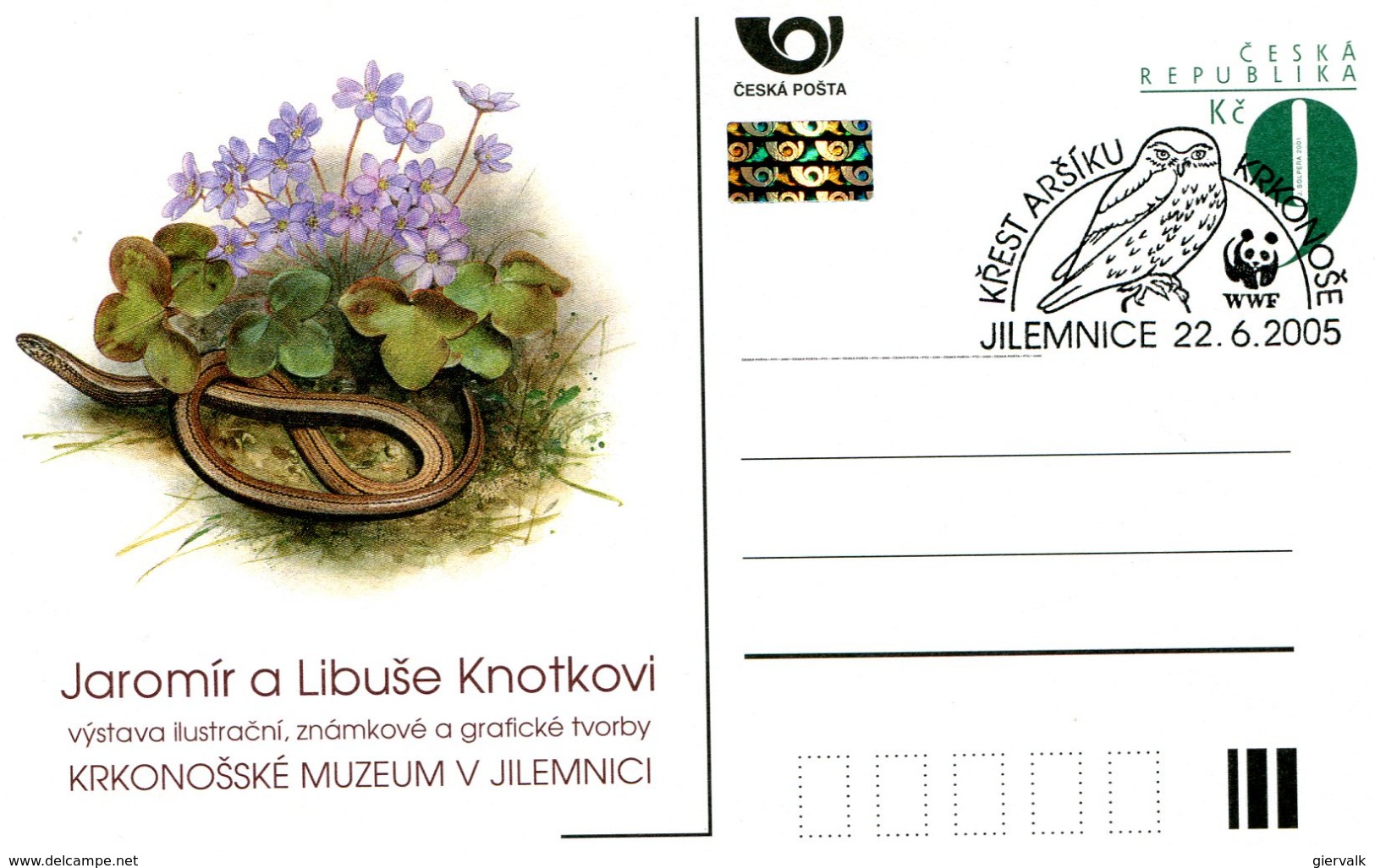 CZECH REPUBLIC 2005 WWF POSTCARD With LIZARD And SPECIAL CANCELLATION. - Lettres & Documents