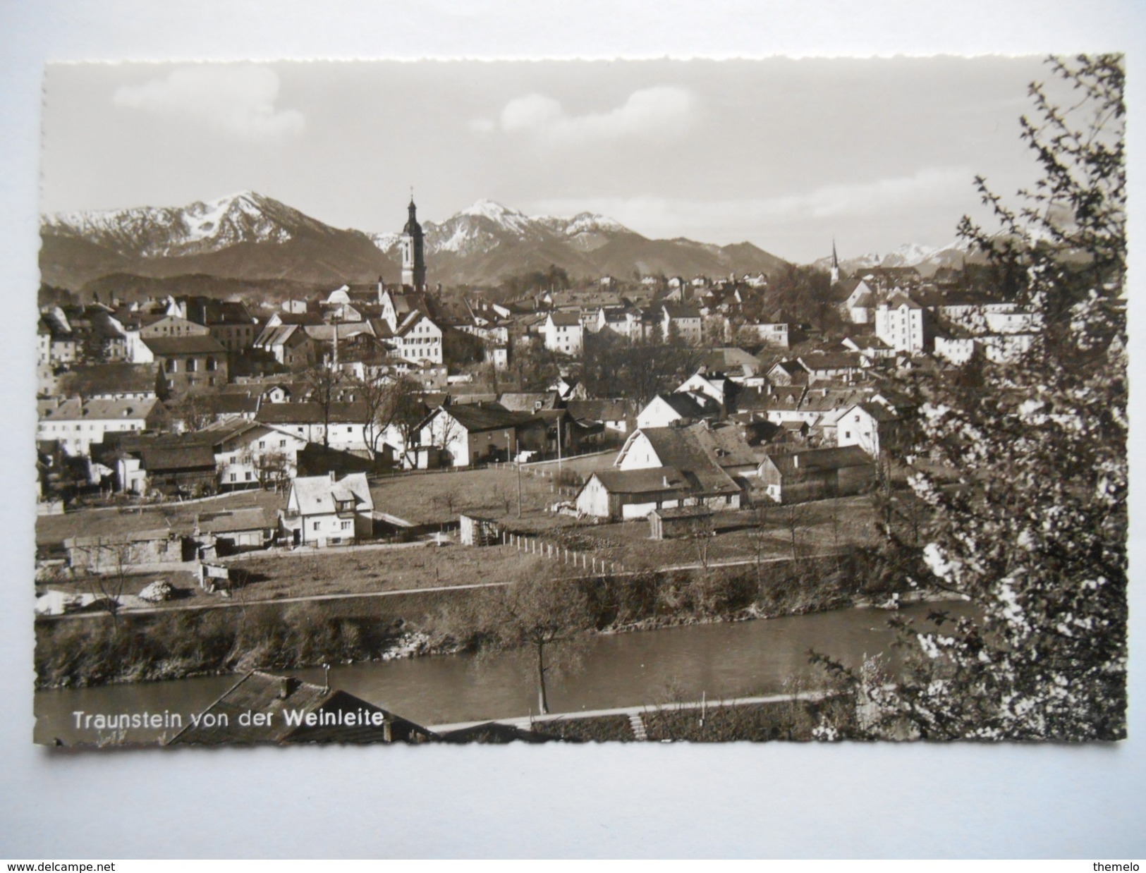 CPSM "Traunstein - Mit Hochfelln U.Hochgern" - Traunstein