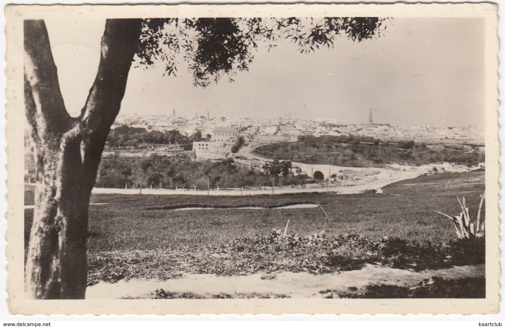 Meknés - Vue Générale   - (Maroc) - Meknes