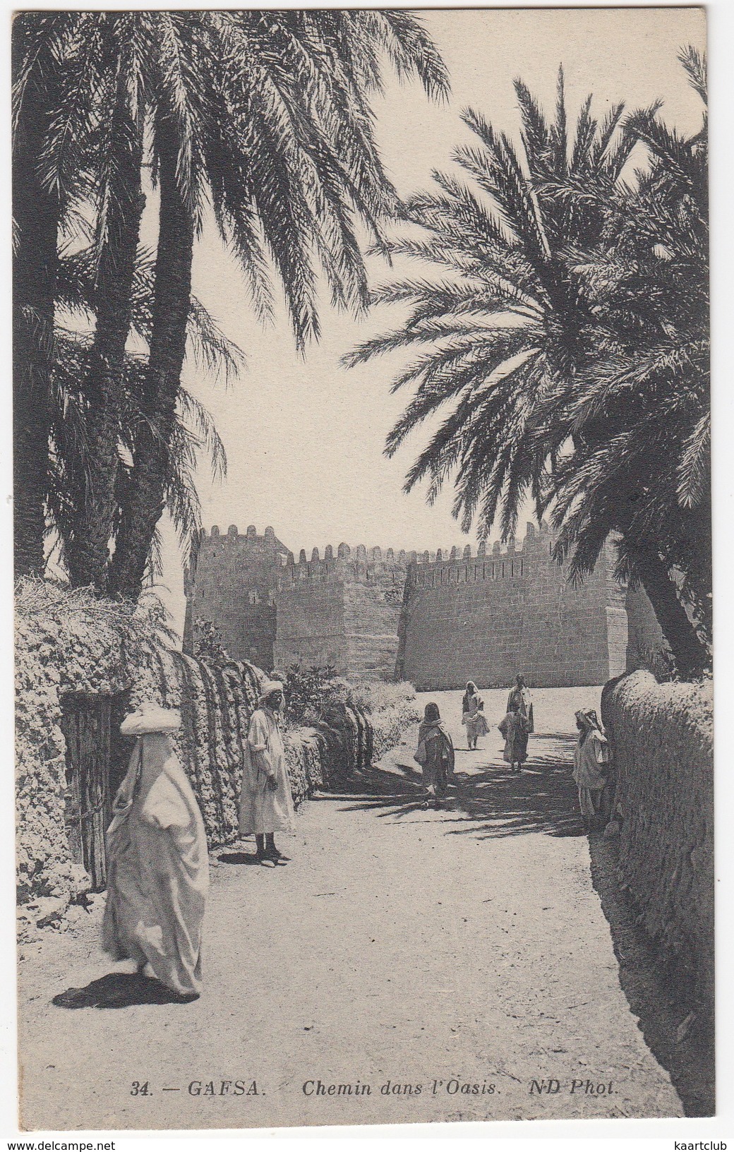 Gafsa - Chemin Dans L'Oasis -  (34 - ND Phot) - (Tunesie) - Tunisia