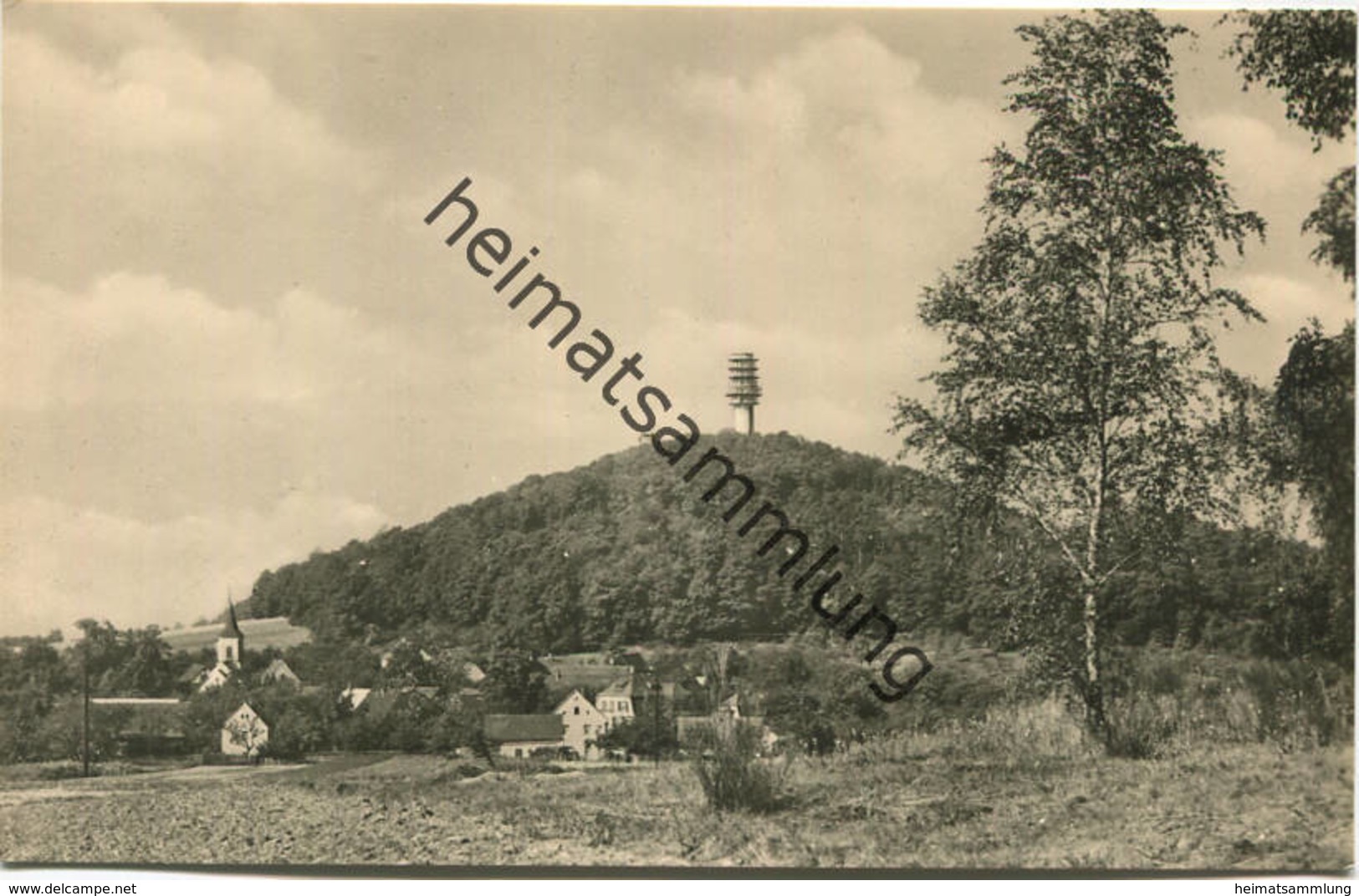 Collm - Blick Zum Collmberg - Foto-AK 1962 - Verlag VEB Bild Und Heimat Reichenbach - Wermsdorf